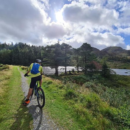 Delightful Camping Pod In Snowdonia, North Wales. Otel Derwen Dış mekan fotoğraf