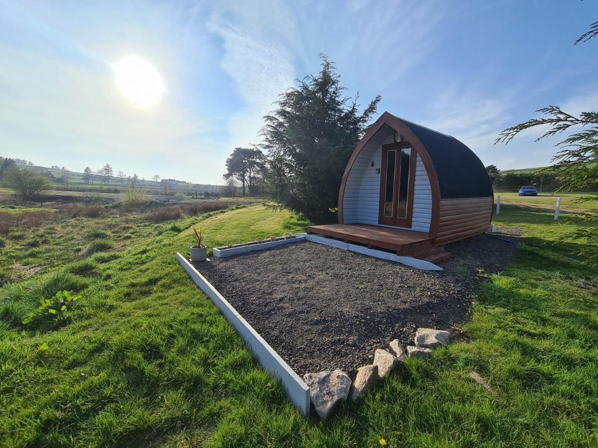 Delightful Camping Pod In Snowdonia, North Wales. Otel Derwen Dış mekan fotoğraf