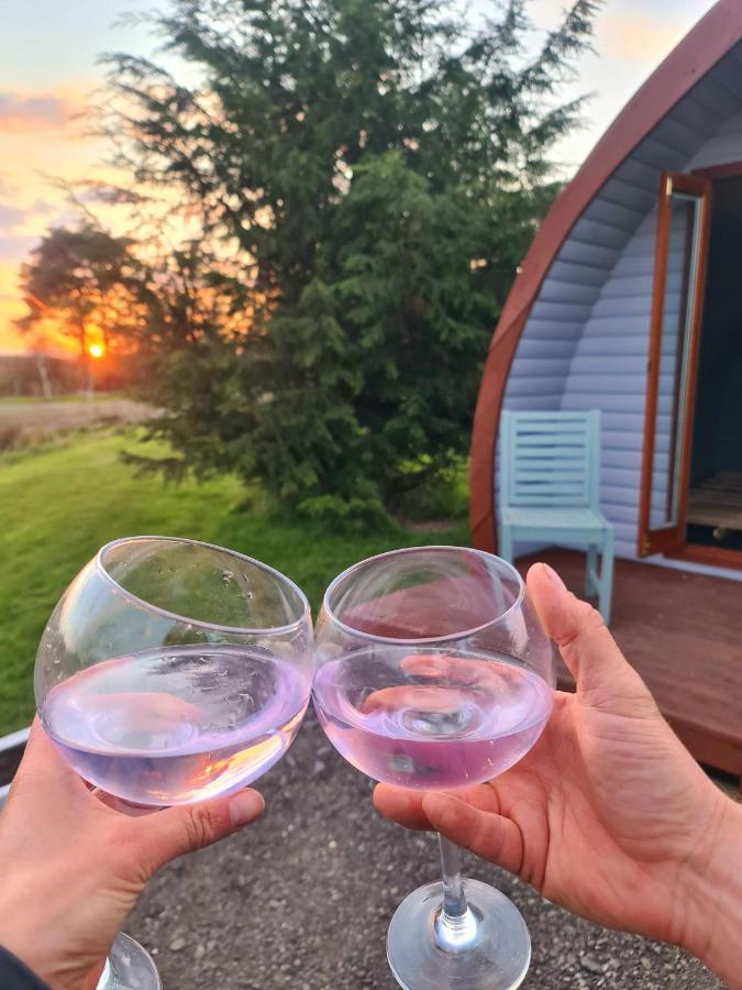 Delightful Camping Pod In Snowdonia, North Wales. Otel Derwen Dış mekan fotoğraf